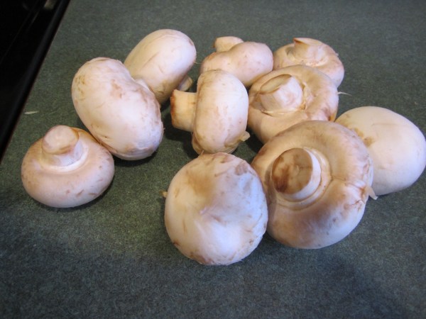 PICTURES that I erased 389