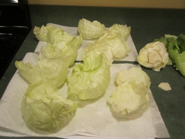 cabbage rolls 003