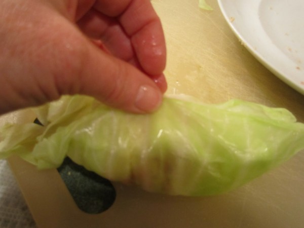 cabbage rolls 019