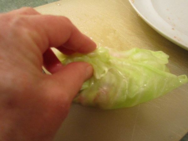 cabbage rolls 020