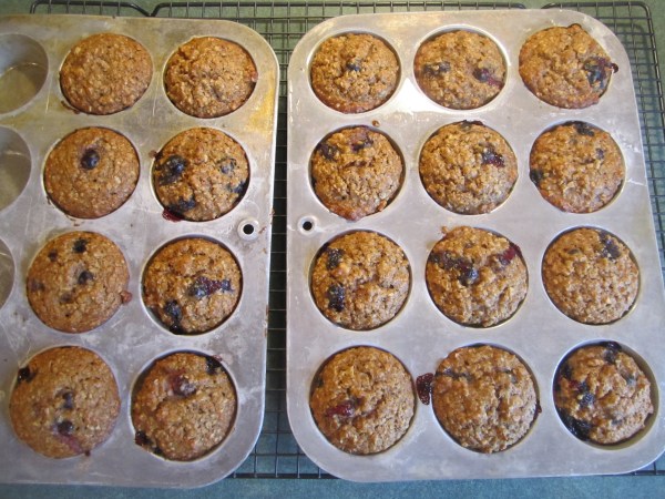 Oatmeal Muffins 010