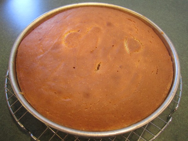 Pinapple Upside Down Cake 020