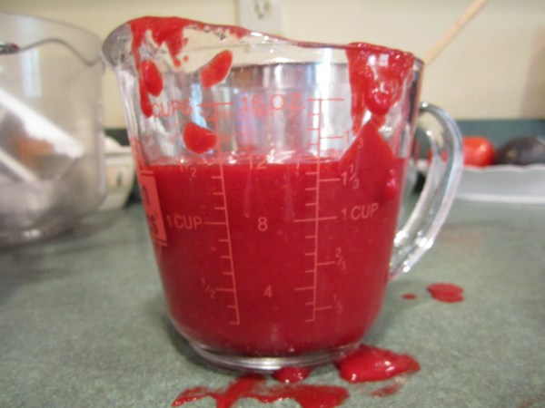 raspberry icecream 002