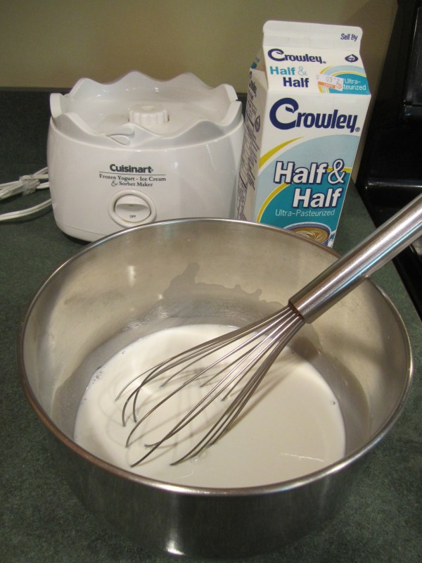 raspberry icecream 003