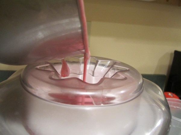 raspberry icecream 006