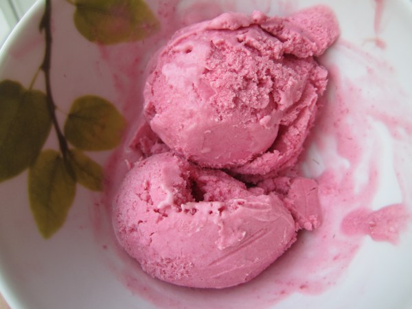 raspberry icecream 018
