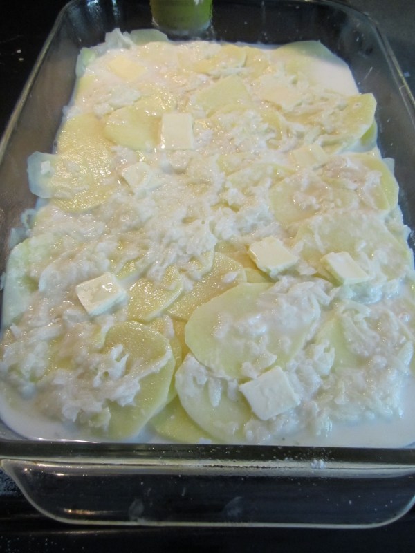 Scallop potatoes 007