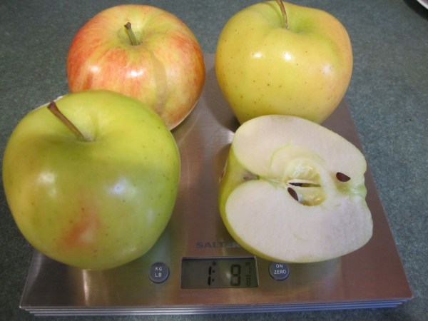 Pork with apples and cream 001