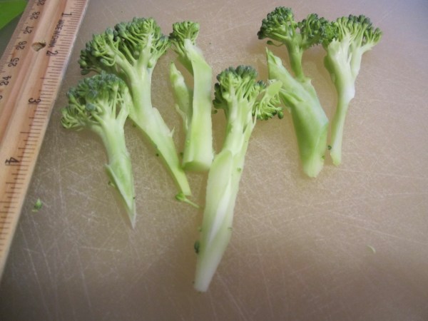 Pasta and Sausage Bake 001