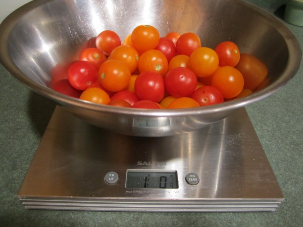 Tomato and Basil Bake 001