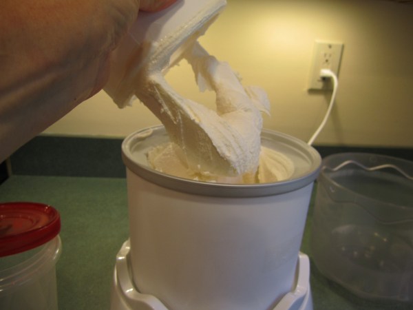 vanilla icecream 004