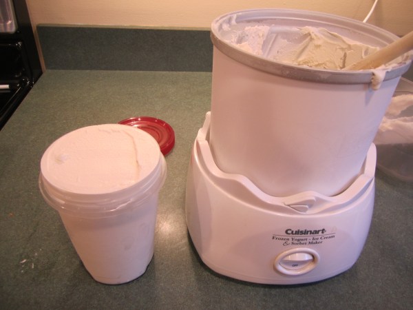 vanilla icecream 005