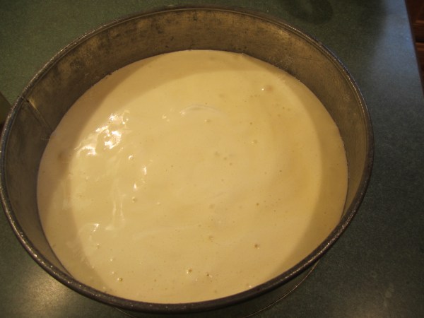 Boston Cream Pie 025