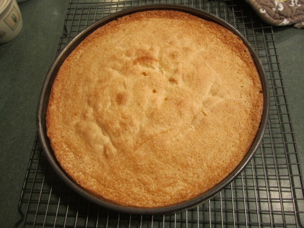 Boston Cream Pie 026