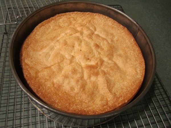 Boston Cream Pie 028