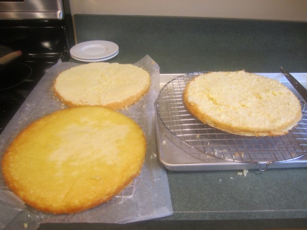 Boston Cream Pie 056